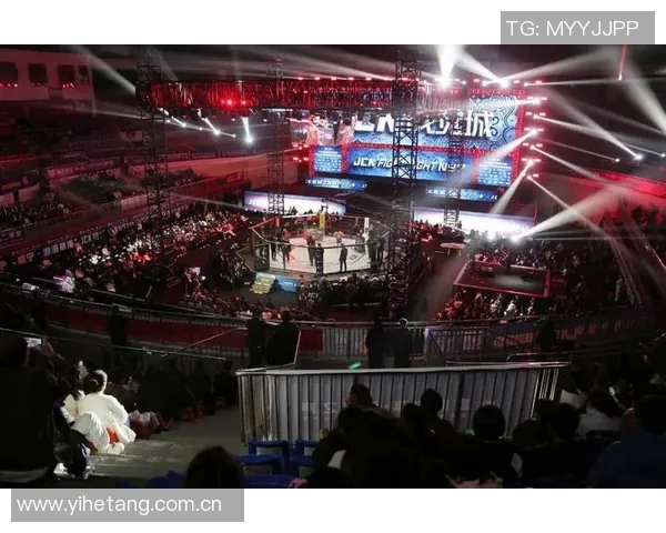 MMA格斗之夜：KO瞬间集锦