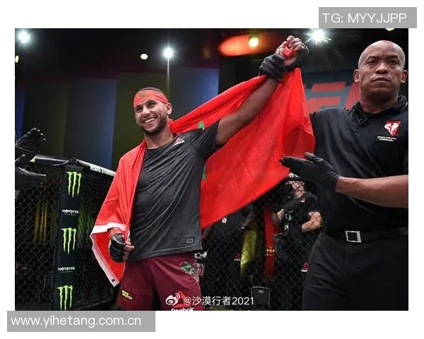 MMA格斗之夜:KO瞬间集锦 MMA格斗之夜:KO瞬间集锦